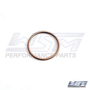 Powervalve Bellow Spring Small